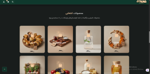 طراحی وب اهواز